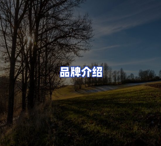 公司总部