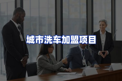 城市洗车加盟项目