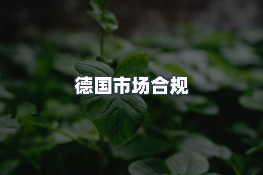 医疗器械CE认证